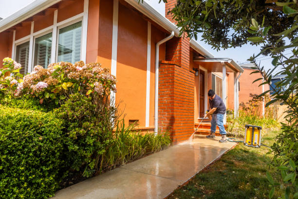 Best House Pressure Washing  in Orange Park, FL