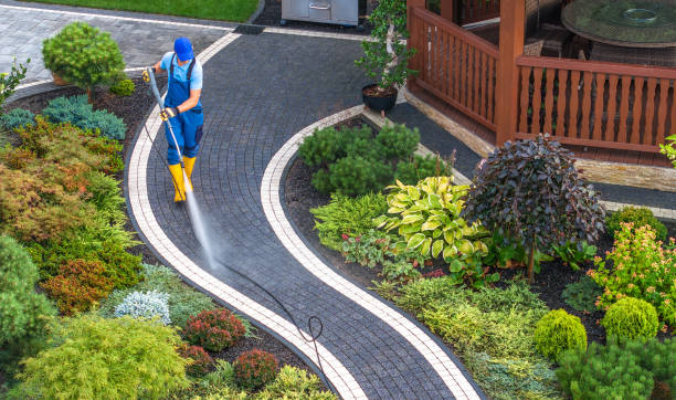 Best Residential Pressure Washing Services  in Orange Park, FL